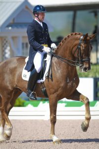 Uniplan-CEO Christian Zimmermann auf sienem Pferd Aramis