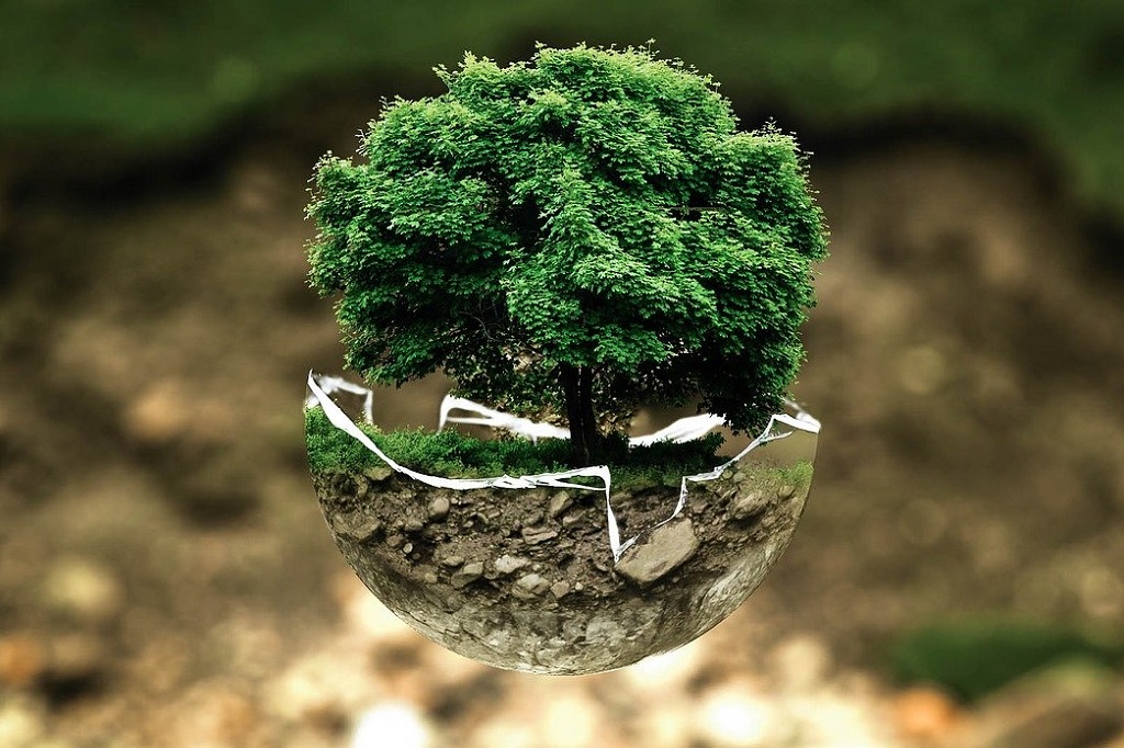 Umweltschutz_Baum_Erde