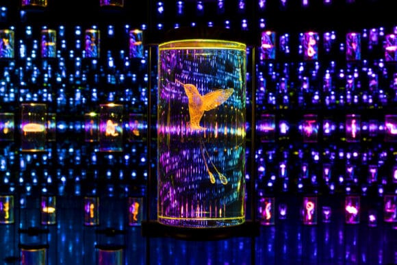 Museum of the Future