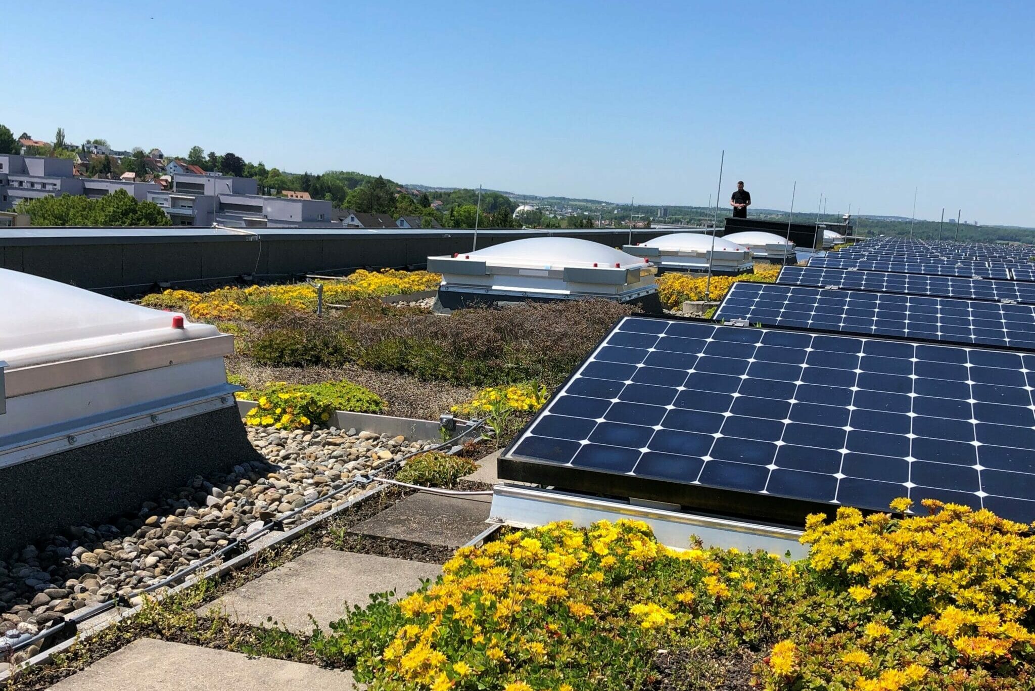 Das begrünte Dach sowie die hauseigene Photovoltaik-Anlage tragen zum Nachhaltigkeitskonzept der Stadthalle Reutlingen ihren Teil bei.