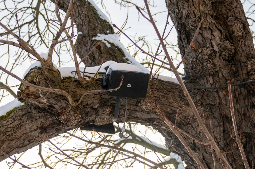 Audac Outdoor-Lautsprecher auf einem Baum installiert
