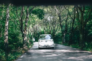 ID. Buzz Experience in Kopenhagen