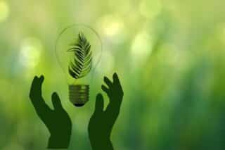 Energiesparen_Umweltschutz_Glühbirne