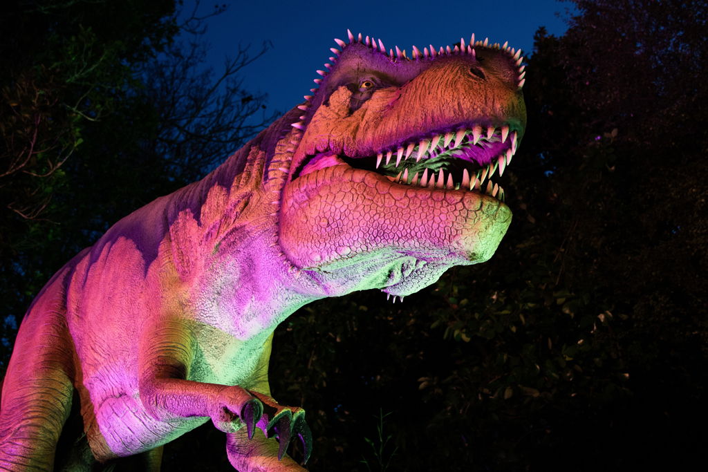 Dinosaurier-Entdeckungspfad