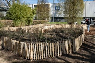 Der Mikrowald in Hannover