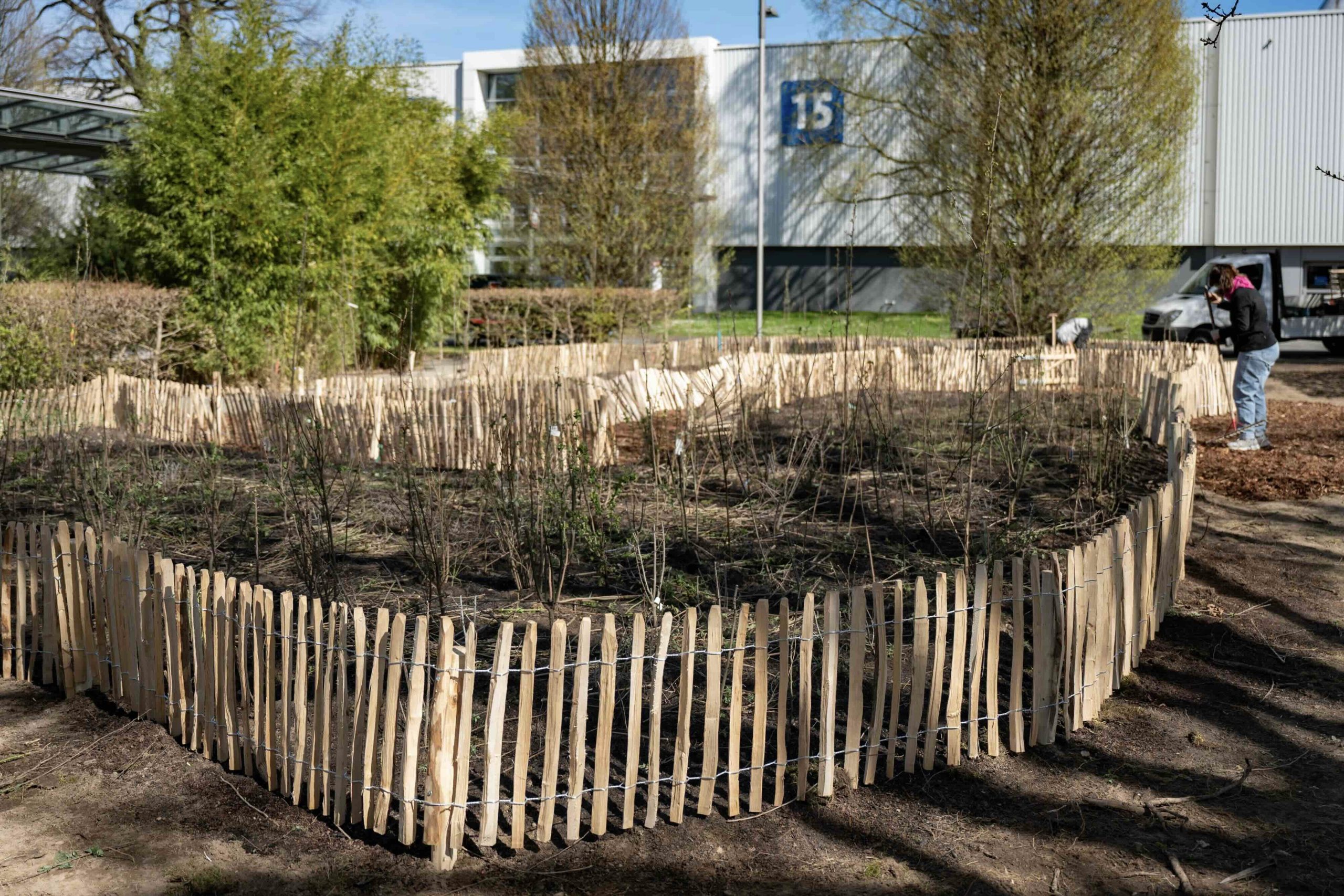 Der Mikrowald in Hannover
