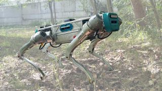 vierbeiniger Roboterhund im Gelände