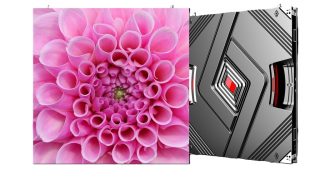 LED-Cabinet in Vorder- und Rückansicht, auf der Displayfläche eine pinkfarbene Blüte
